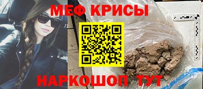 стафф Кингисепп