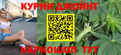 стафф Кингисепп