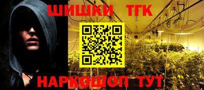 стафф Кингисепп