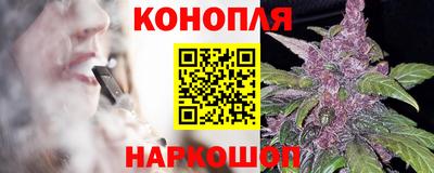 стафф Кингисепп