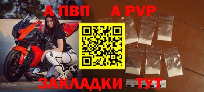 стафф Кингисепп
