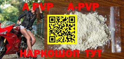 стафф Кингисепп