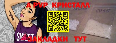 стафф Кингисепп