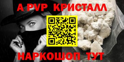 стафф Кингисепп