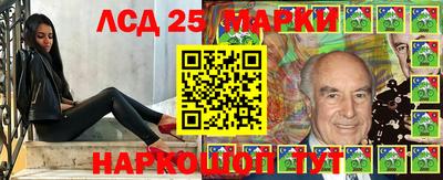 стафф Кингисепп