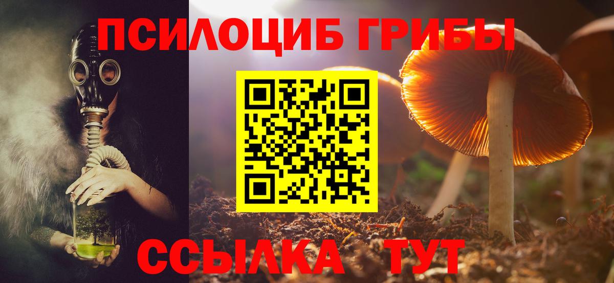 Галлюциногенные грибы мицелий Ярославль