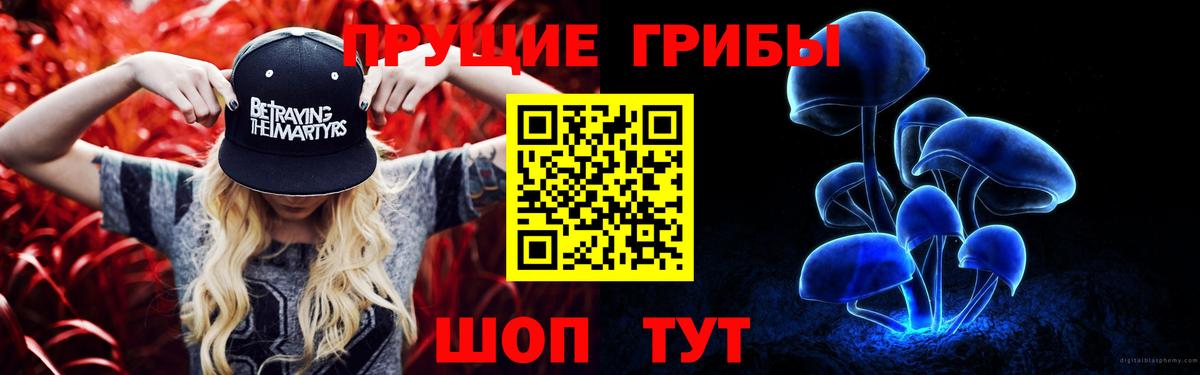 Псилоцибиновые грибы Psilocybine cubensis  Вход с VPN  Ярославль  Псилоцибиновые грибы Magic Shrooms 
